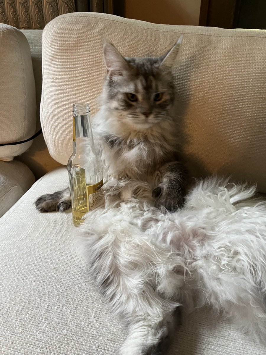 avery 🌱✨ (@pastelheat) on Twitter photo 