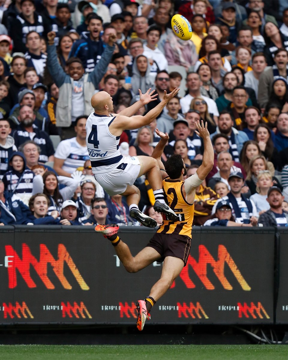 Things you love to see: Cats V Hawks on Easter Monday 🤩 #WeAreGeelong