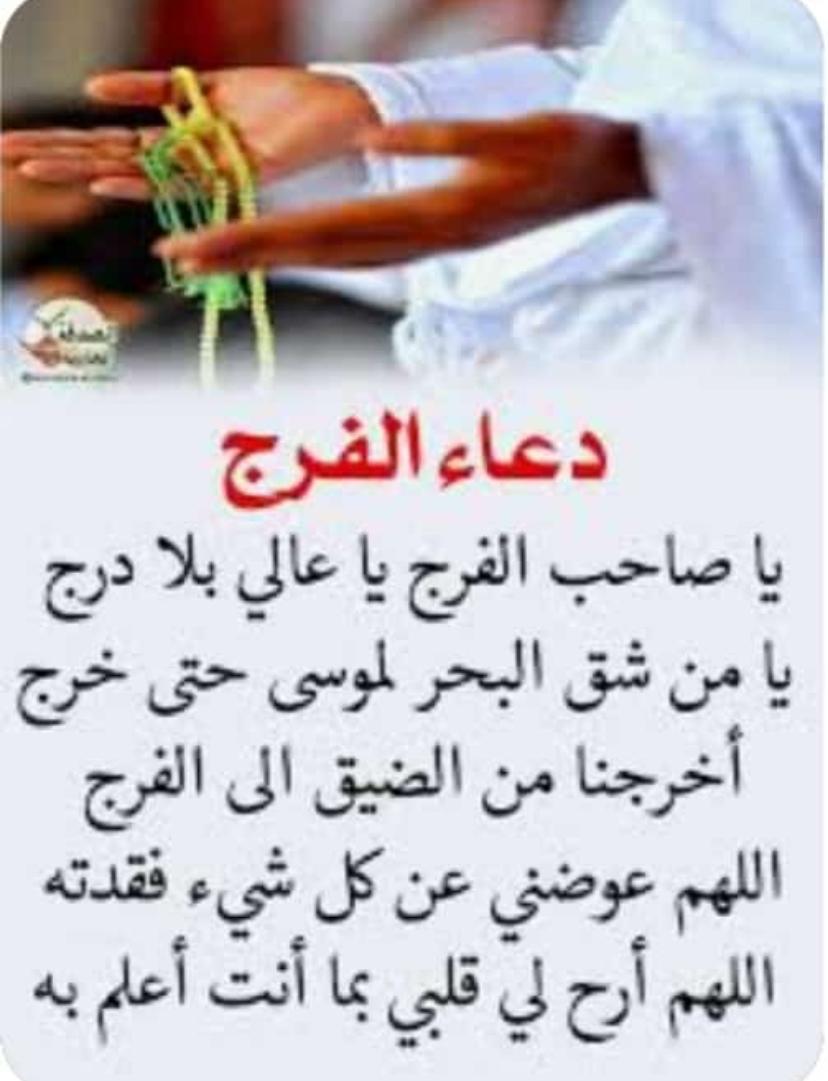 انيقه البحارنه tweet media