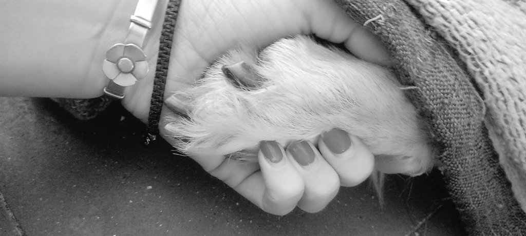 Gracias 
Y
Perdón 
⭐