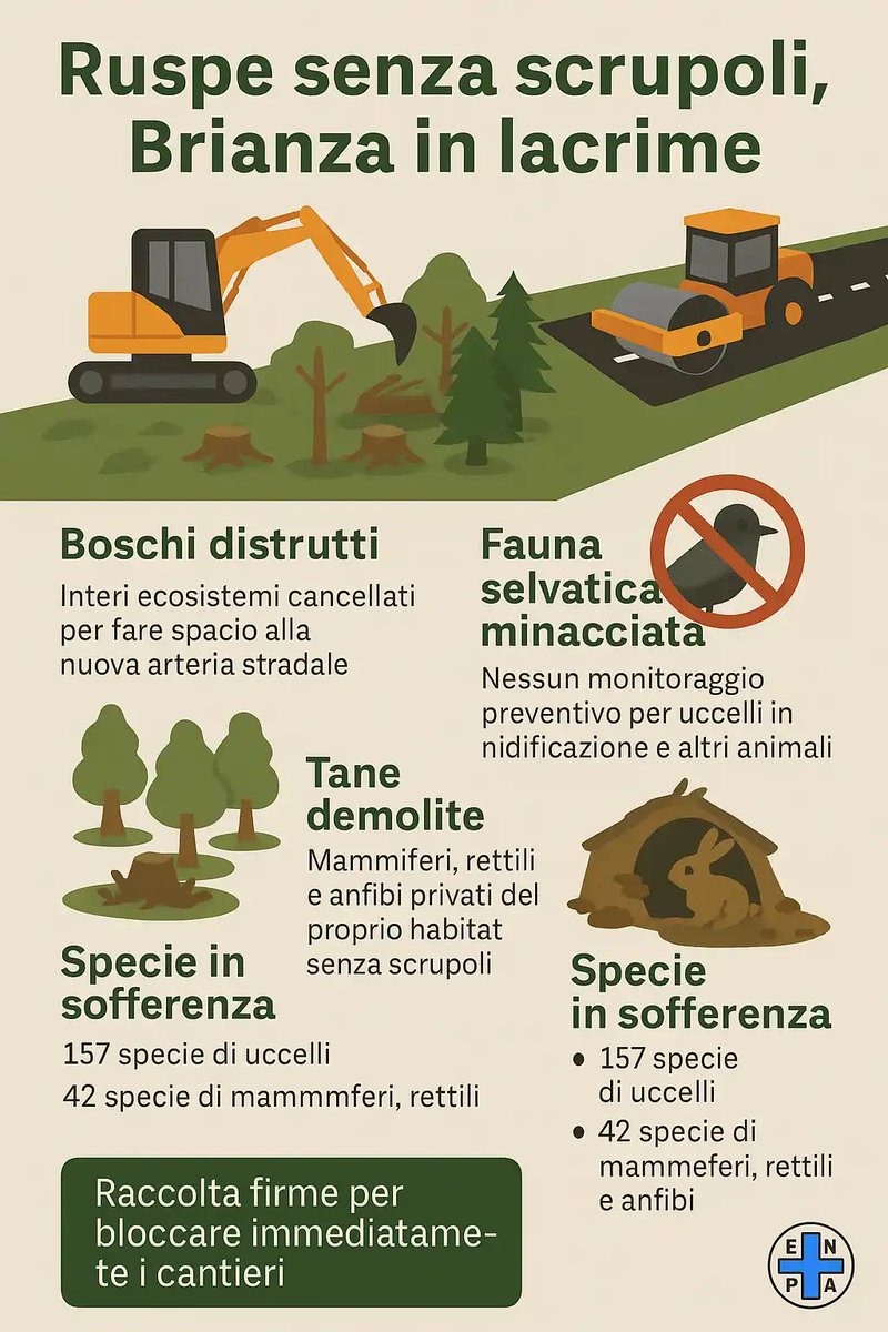 enpa.org/pedemontana-ru… - Fermare Pedemontana si può, ed è un dovere morale per tutti coloro che hanno a cuore l’ambiente in cui vivono proteggere la ricchezza della nostra biodiversità. La battaglia per la Brianza e la sua fauna è appena cominciata