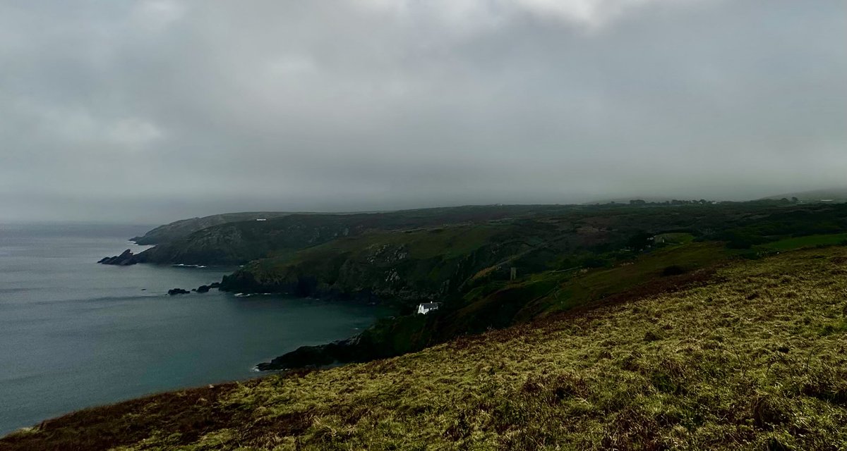 markdeeble1's tweet image. Somewhere out there in the murk and mizzle, a tiny grasshopper warbler has just flown in from Senegal. #migrantlandfall #grasshopperwarbler