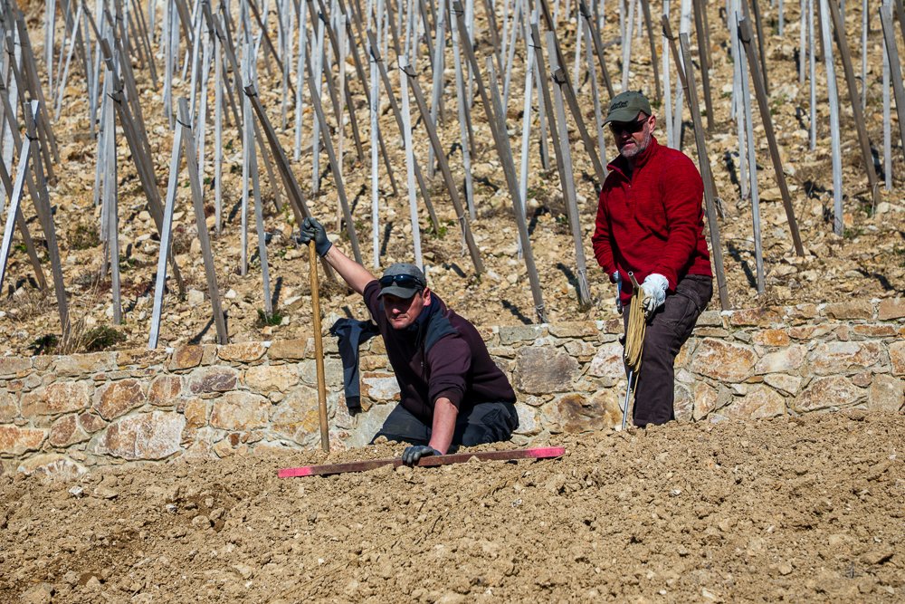 Le traçage, étape préparatoire avant la plantation. Tracing : preliminary steps before plantation. #nouvellesplantations #coterotie #guigal
📷 Stéphane Chalaye Photographie