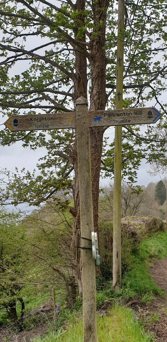 chrisjay tweet media