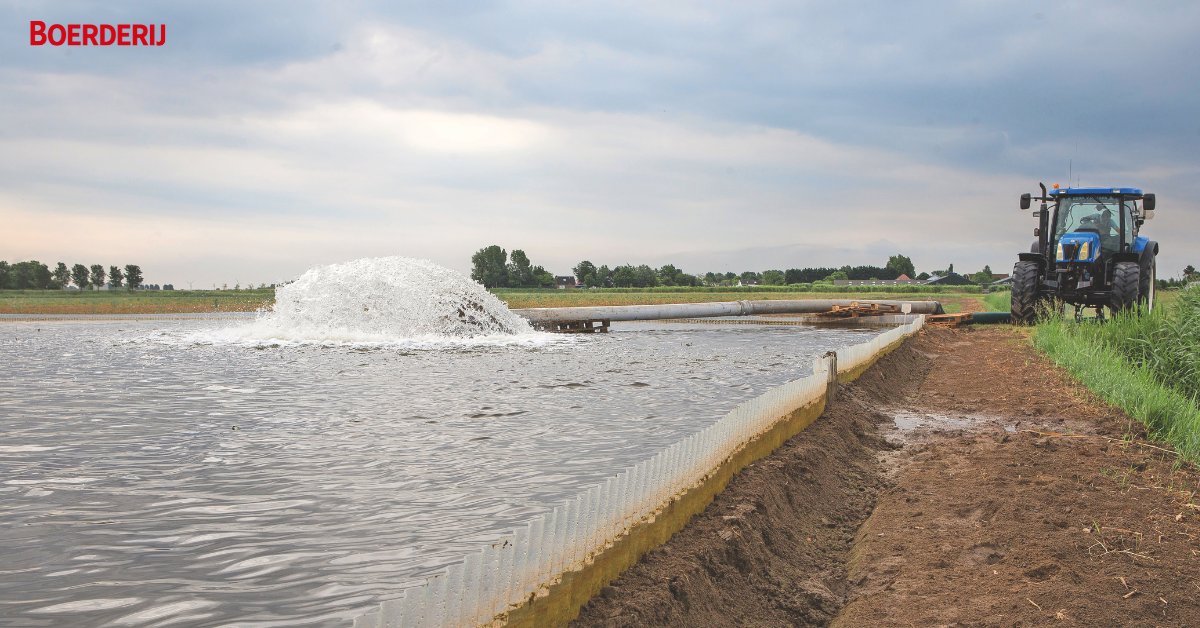 Boerderij_nl's tweet image. Het wegvallen van #nematiciden, zoals #Vydate, dwingt telers om aaltjes te beheersen met een integrale bedrijfsaanpak. Een slim #bouwplan, #tagetes of resistente #groenbemesters zaaien, #bedrijfshygiëne en #inundatie zijn goede maatregelen #zonder chemie. 
boerderij.nl/aaltjesdeskund…