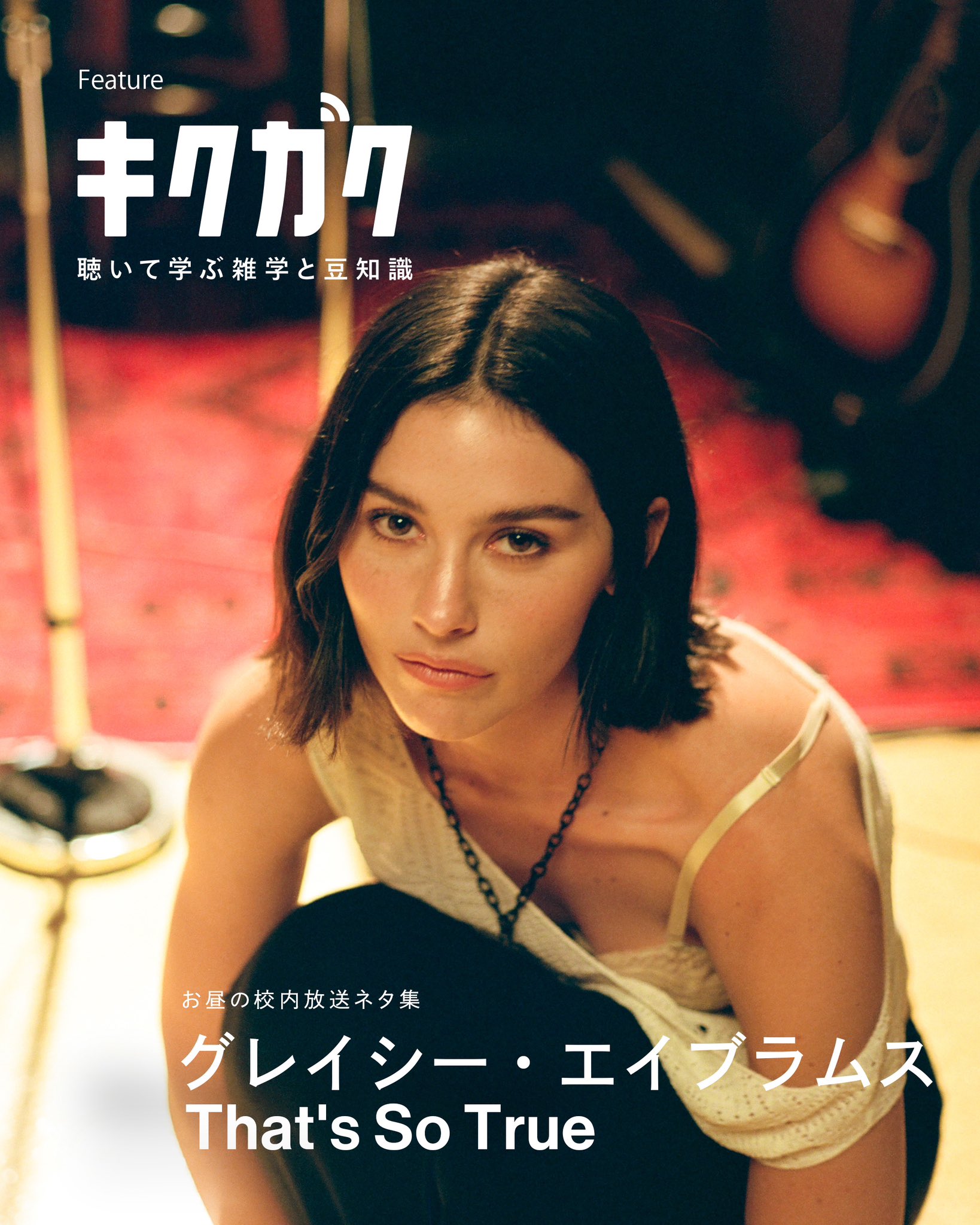 Amazon.co.jp: Yzixulet Gracie Abrams ツアー ポスター レトロ