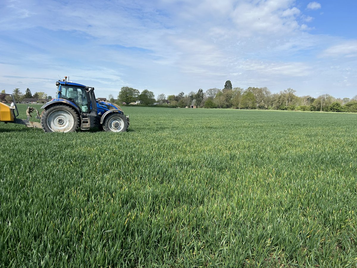 Spot my zero insecticide 20 yard trial