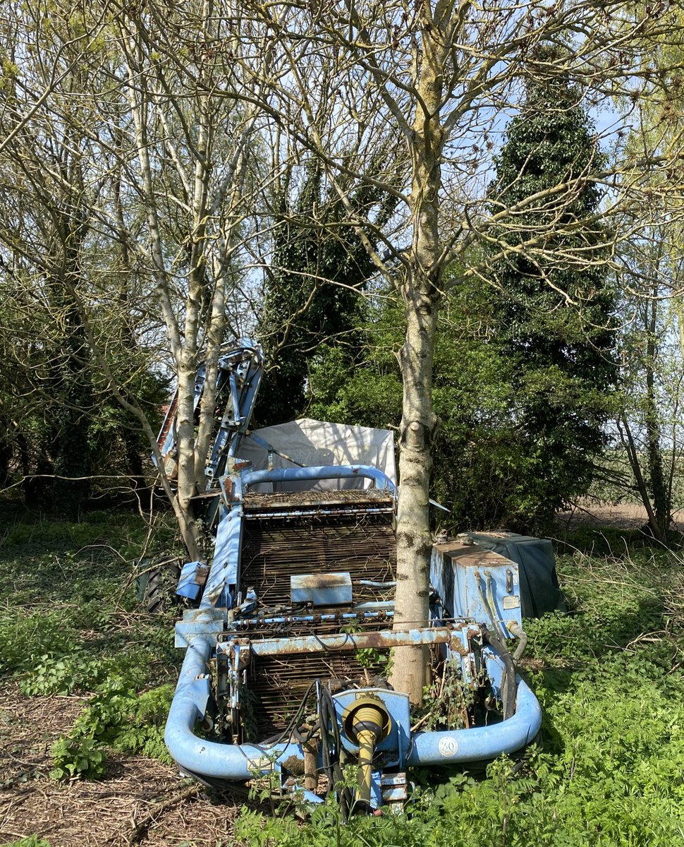 Chris White tweet media