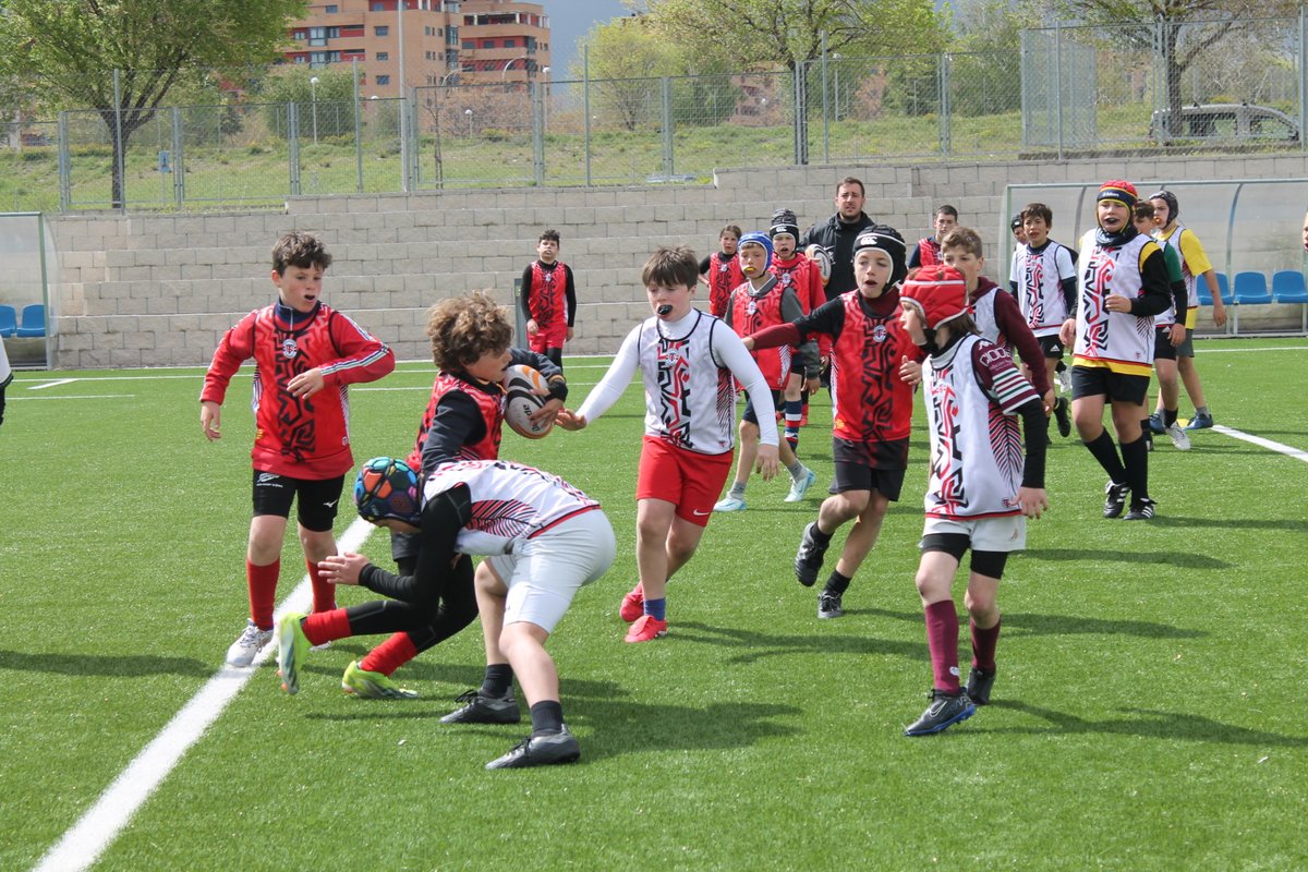 RugbyMadrid's tweet photo. #CampusTecnificaciónFRM TOUJOURS UN PLAISIR 🤝 @StadeToulousain 🇫🇷🏉
Concluye una edición más del CAMPUS STADE TOULOUSAIN ACADEMIE EN MADRID y no podemos estar más contentos con la experiencia
📸ÁLBUM COMPLETO: https://t.co/MJmngSiqHD
#RugbyMadrid #AllezLeStade #NuestroRugby https://t.co/pQQmA3iQhN