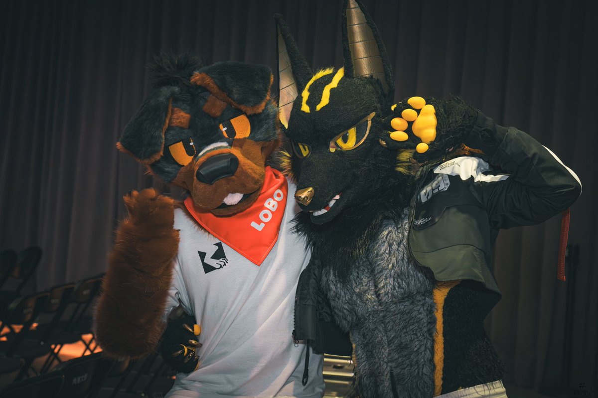 LOBO....
SO CUTE 🥺 ❤️

🐕：<a href="/LOBO_Rottie/">LOBO🐾</a> 
📷: <a href="/bluetoufu3/">藍豆腐BT🧪🍞⏩️ UTFG</a>
#FursuitFriday #furry #FurryFriday