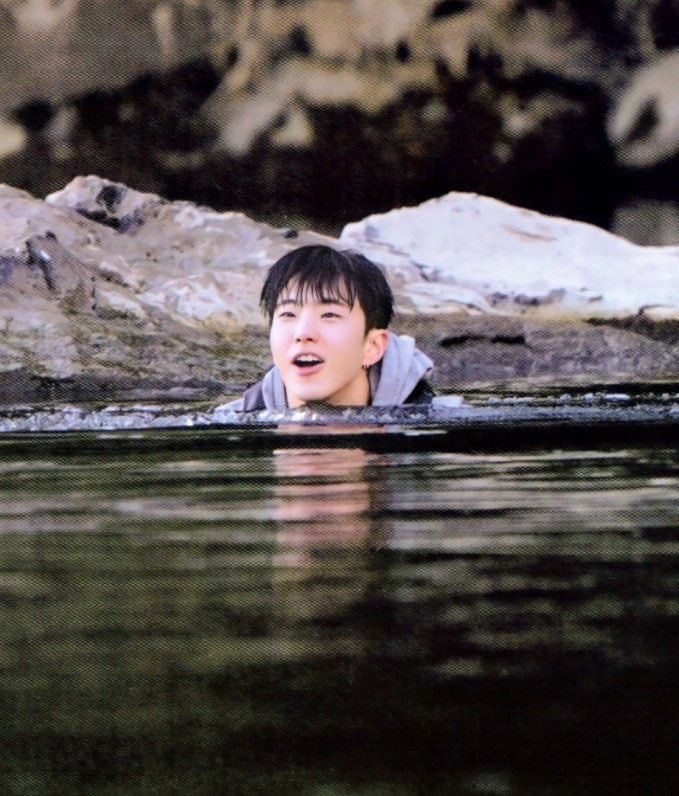 호시 ✭ tweet media