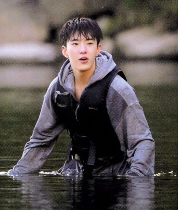 호시 ✭ tweet media