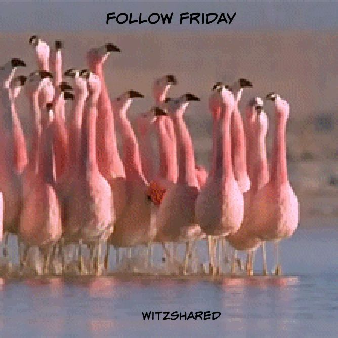 Witzshared - The Blog tweet media