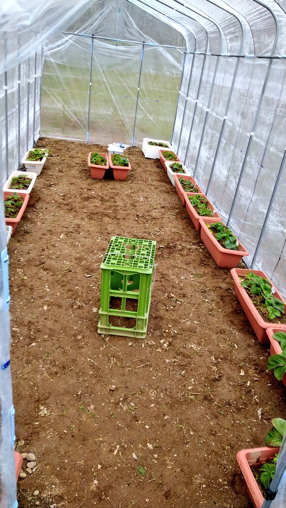 豊作ベジハウス 2．4坪 間口220×長さ360cm KH2236