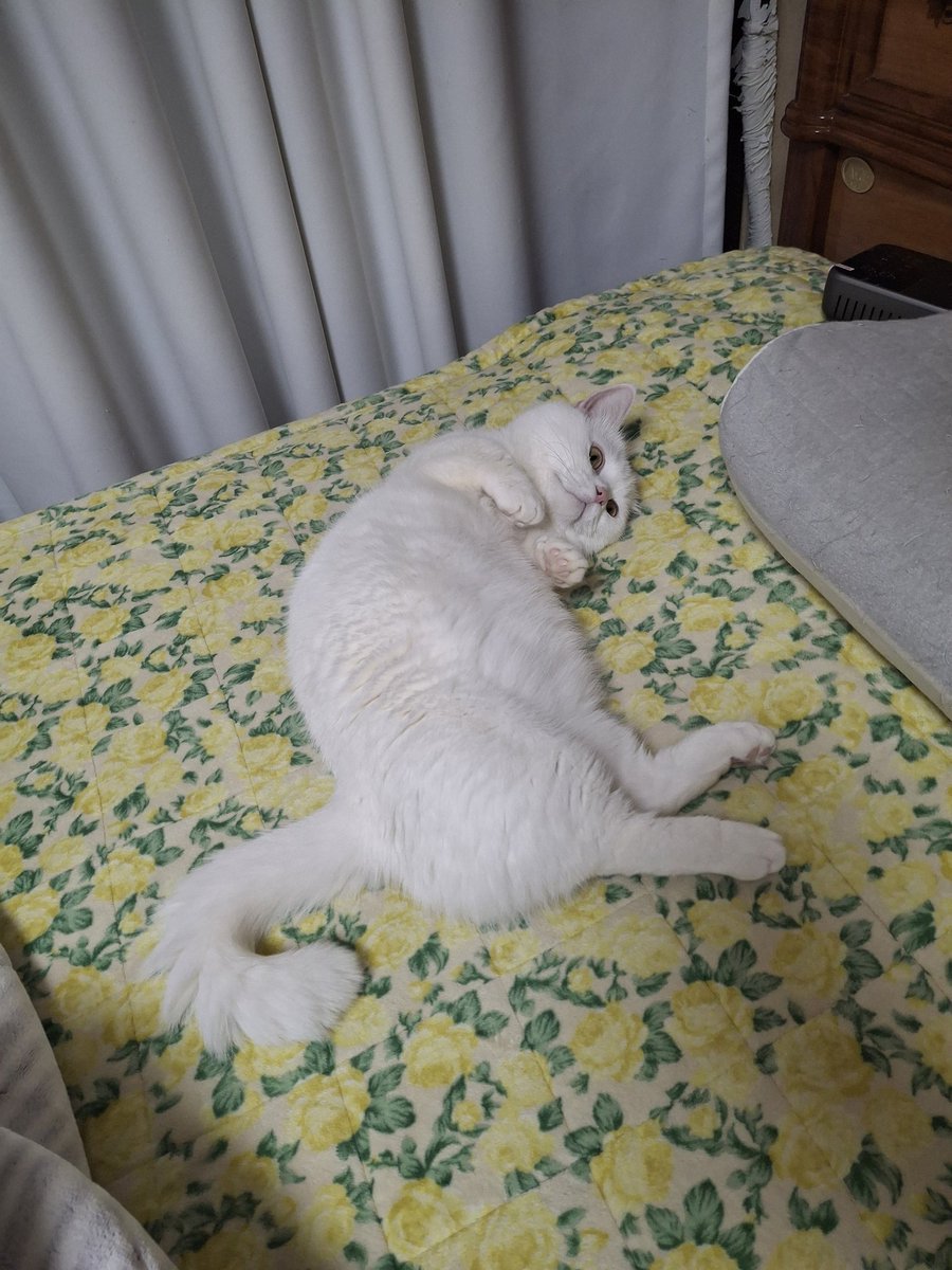 집구석에 왔더니 자다가 깨서 왜 왔냐? ㅡㅡ