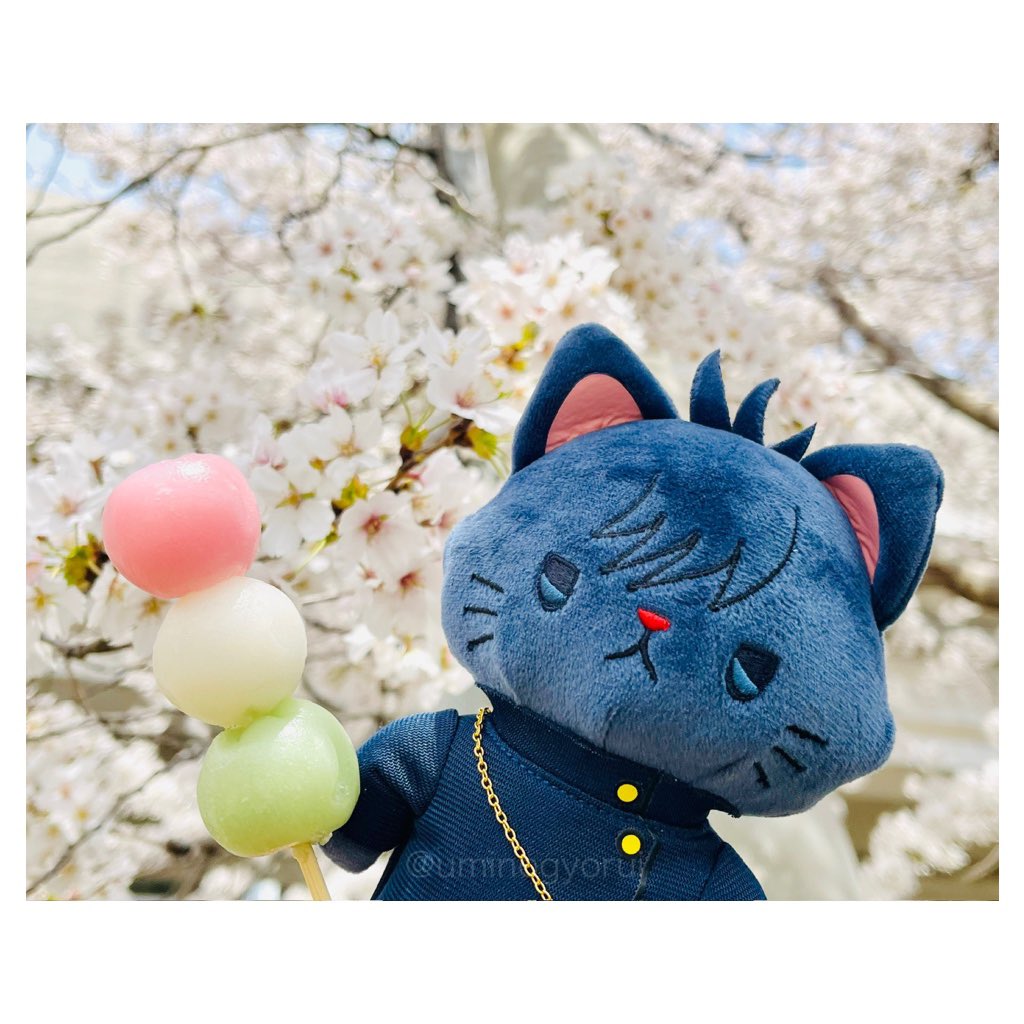 uminogyorui's tweet image. 🍡🌸