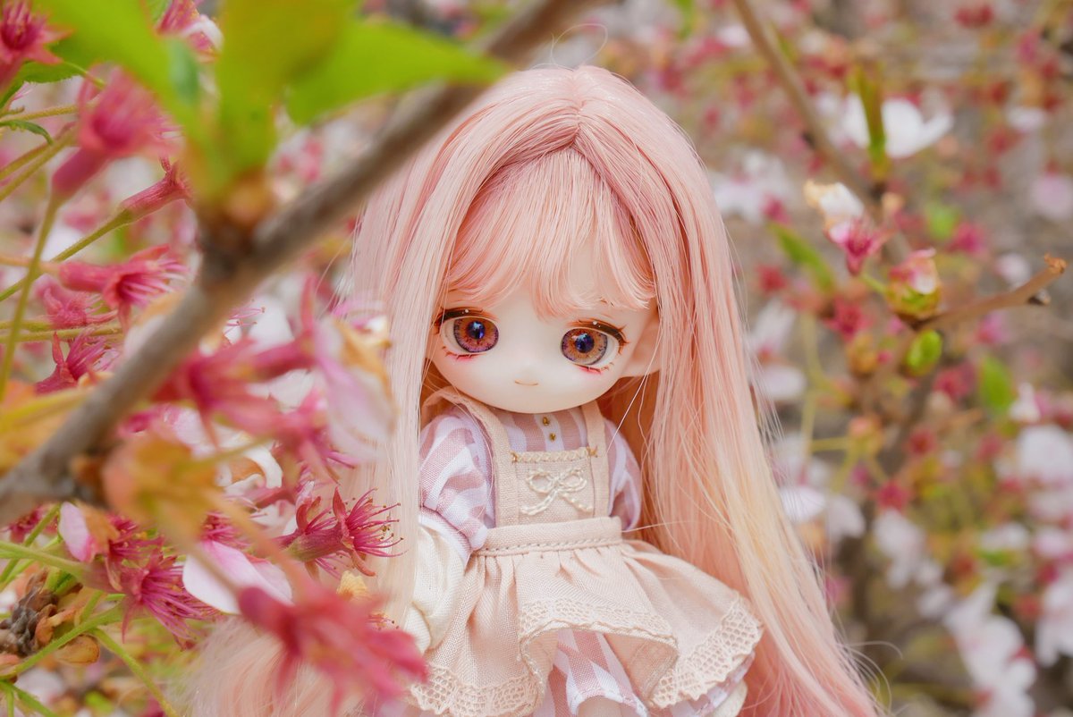 🌸🌿