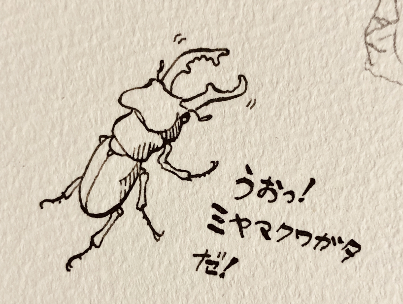 Murmullo_P's tweet image. 