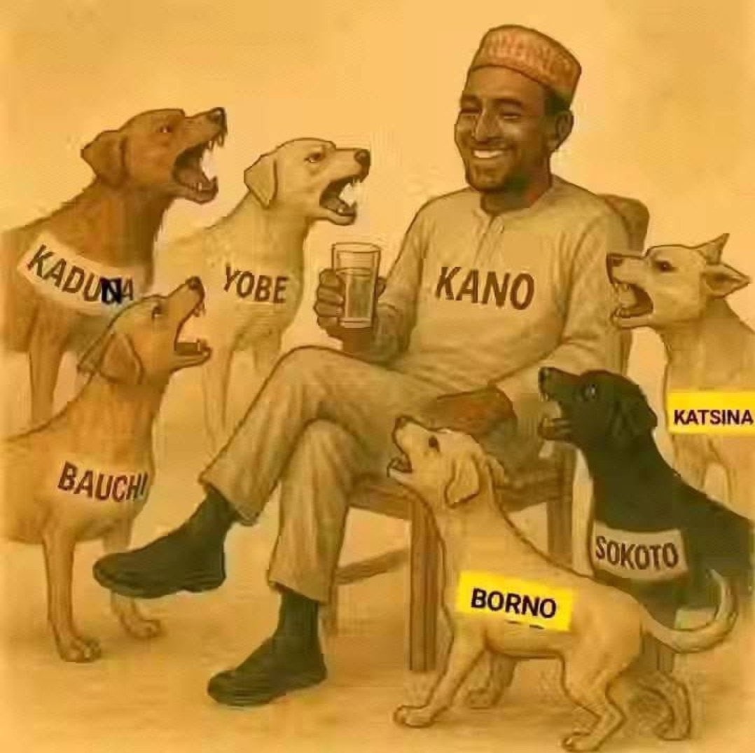 Kano da karnukan ta. 😎