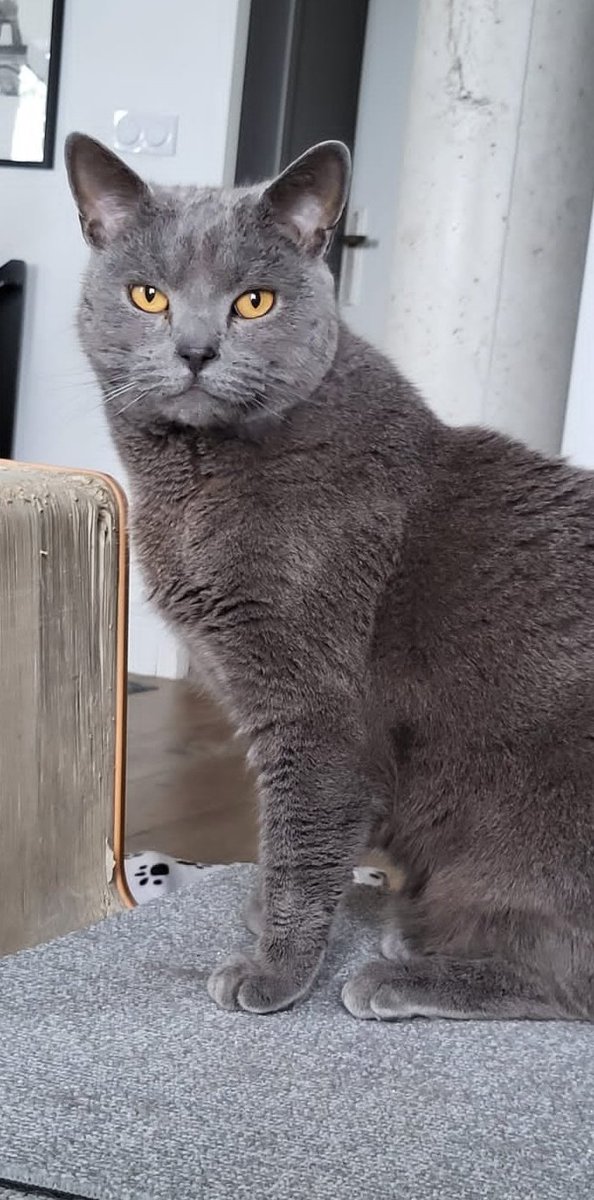 Pepper, MD tweet media