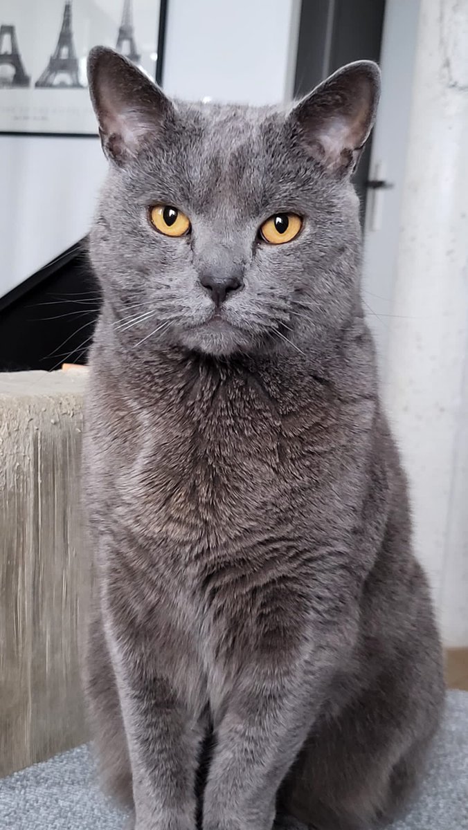 Pepper, MD tweet media