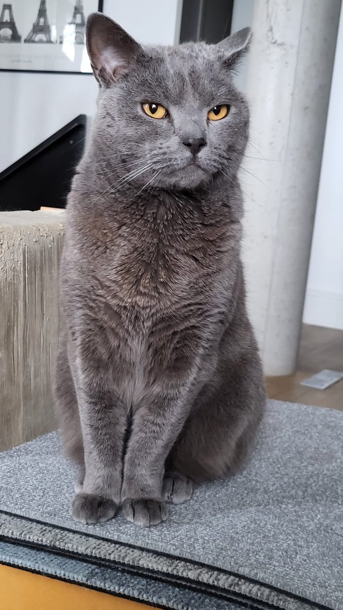 Pepper, MD tweet media