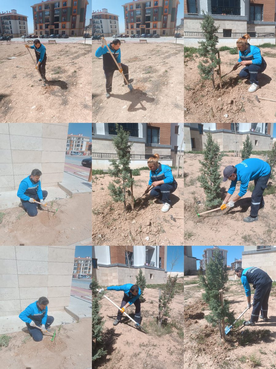 Sitemizde çevre peyzaj  düzenlemesi ve ağaç dikim   çalışması yapılmaktadır.
<a href="/EmlakYonetim/">Emlak Yönetim A.Ş.</a>  <a href="/MvltGazioglu/">Mevlüt GAZİOĞLU</a>