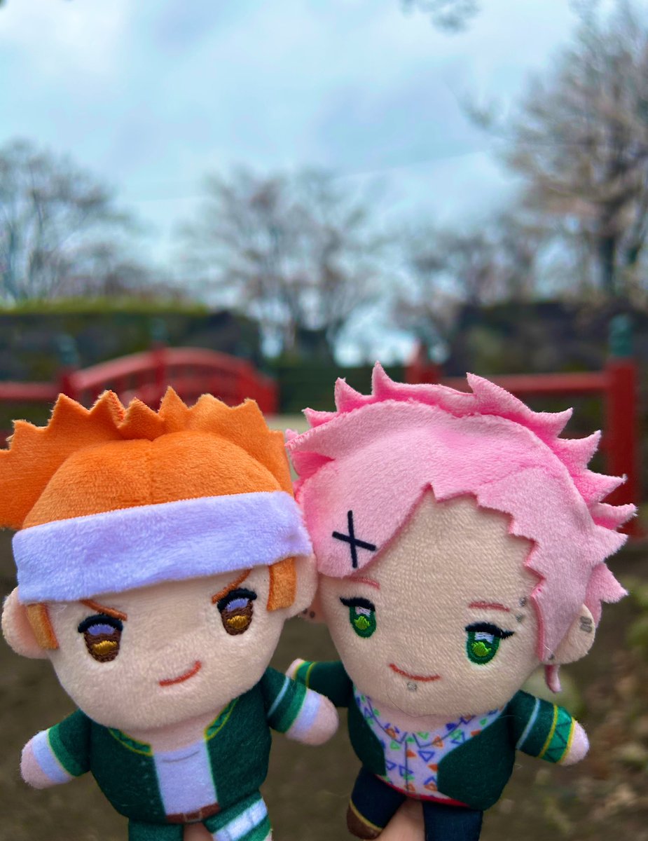 今年も最高でした!ありがとうございます😭桜はまだこれからだった… 
