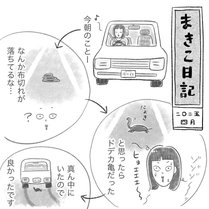 田舎の朝🐢
#まきこ日記 #田舎あるある 