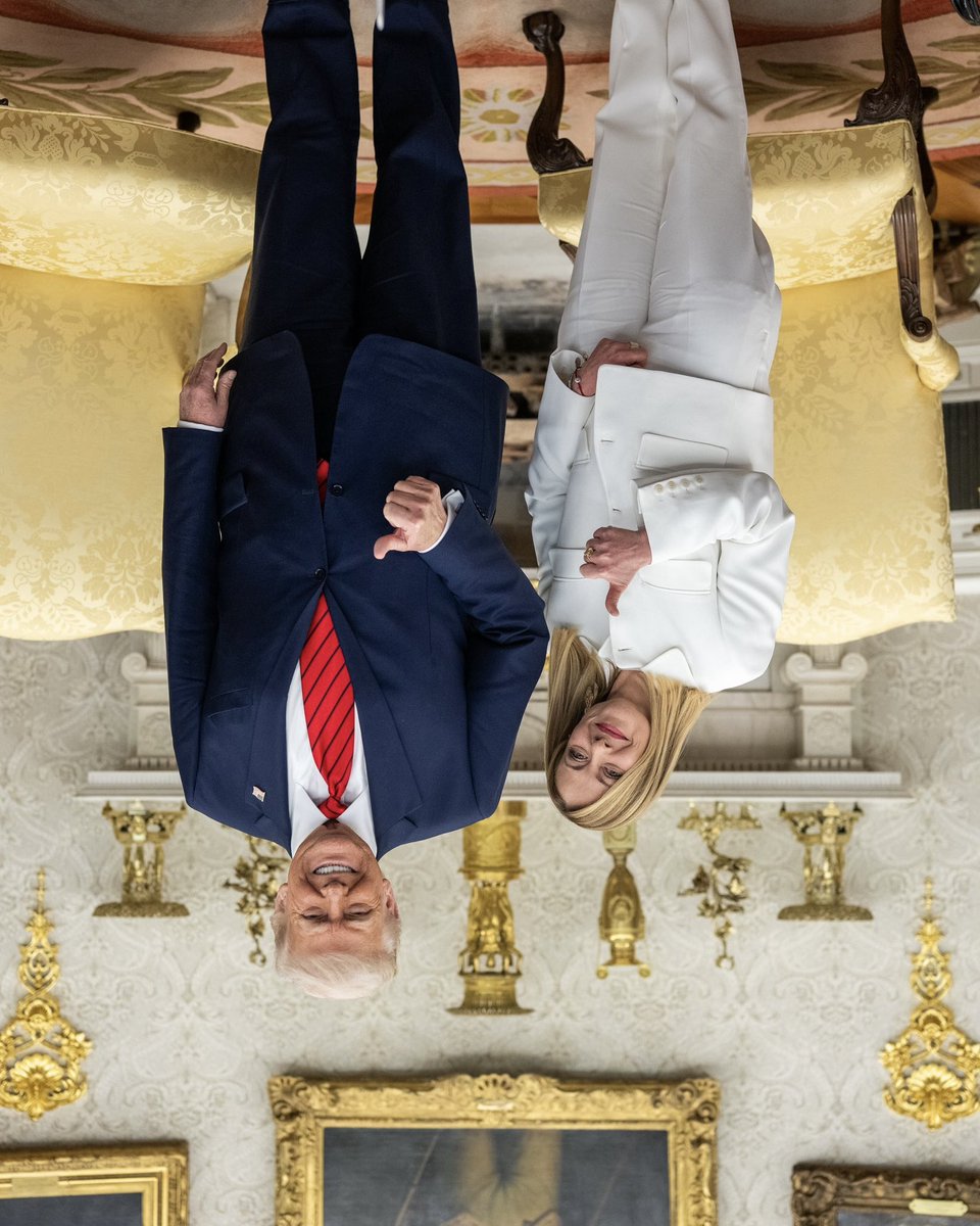 Jake Flores 🇵🇸 (@feraljokes) on Twitter photo 