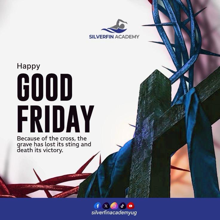 Silverfin Academy tweet media