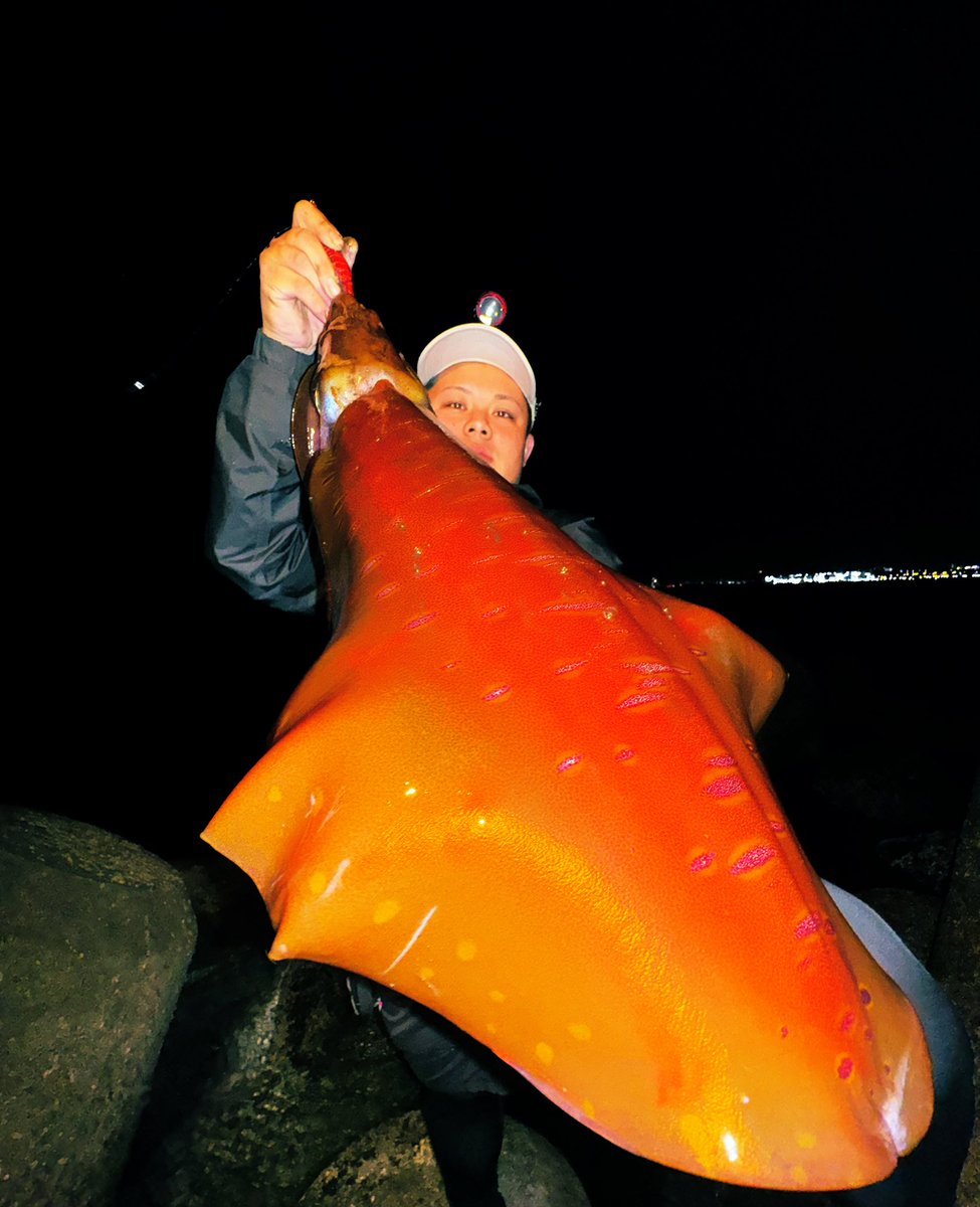 yu_fishing tweet media