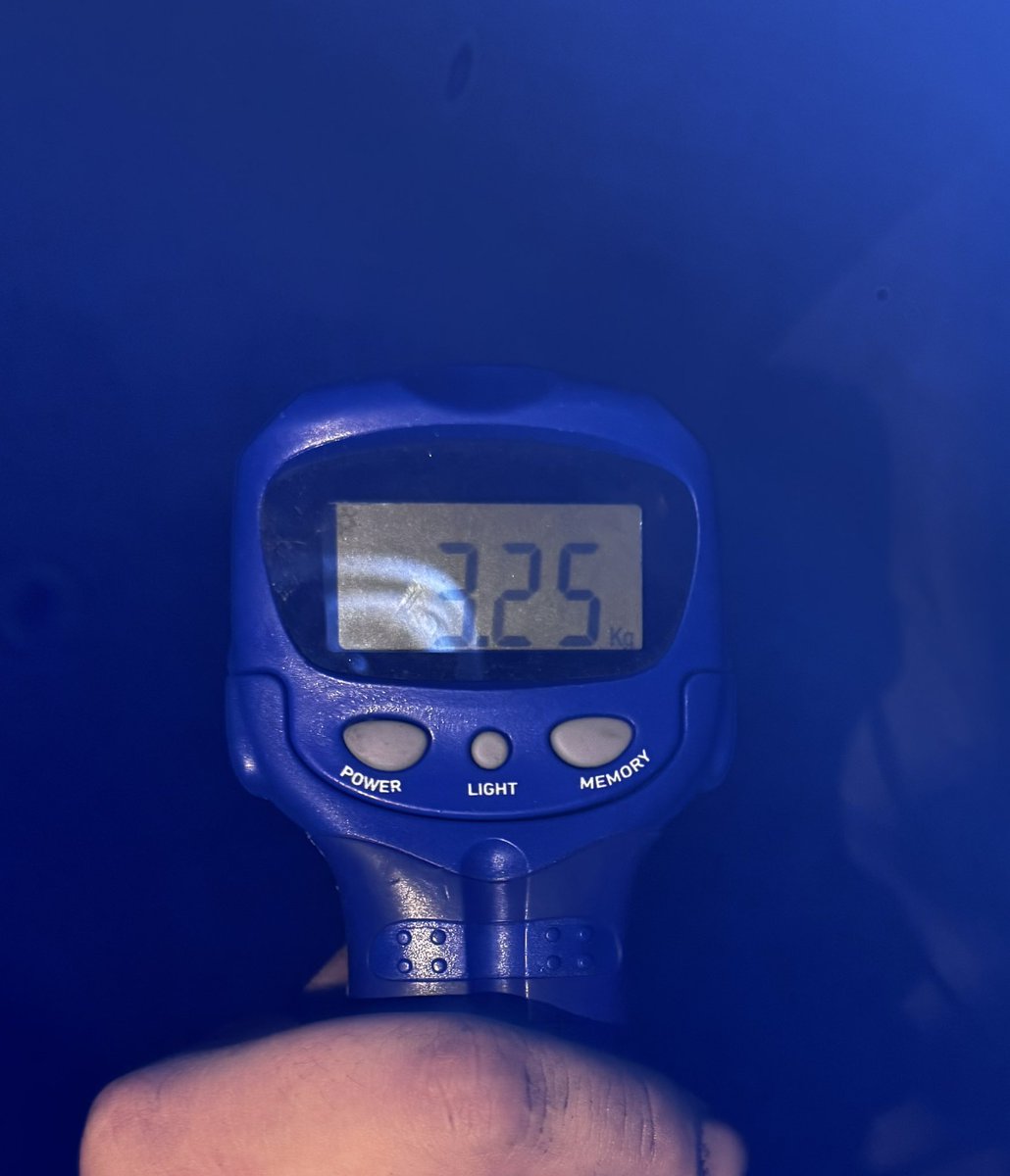 yu_fishing tweet media