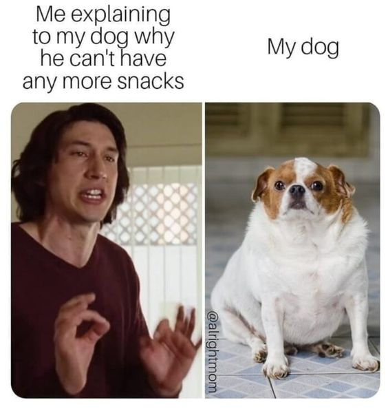 WholesomeMeme's tweet photo. https://t.co/HBLLNumWMN