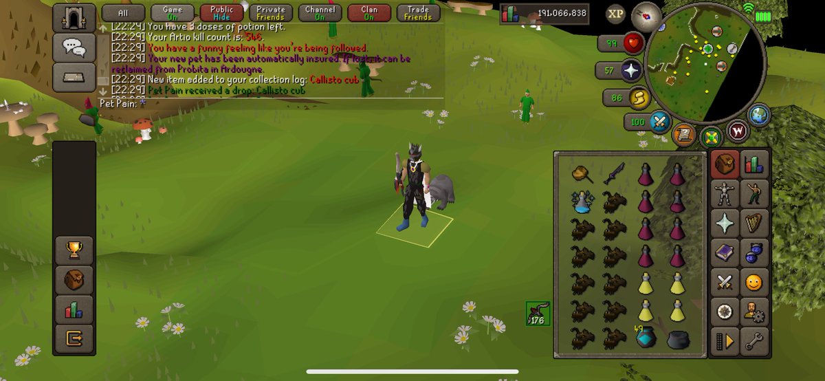 Callisto cub!!! 🐻 546 KC ✅

Delighted with this one! 😁 

#osrs