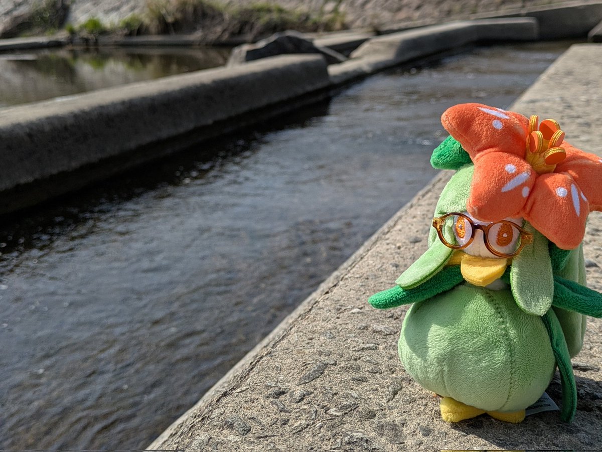 カエデ@ぬい&おしゃべり tweet media