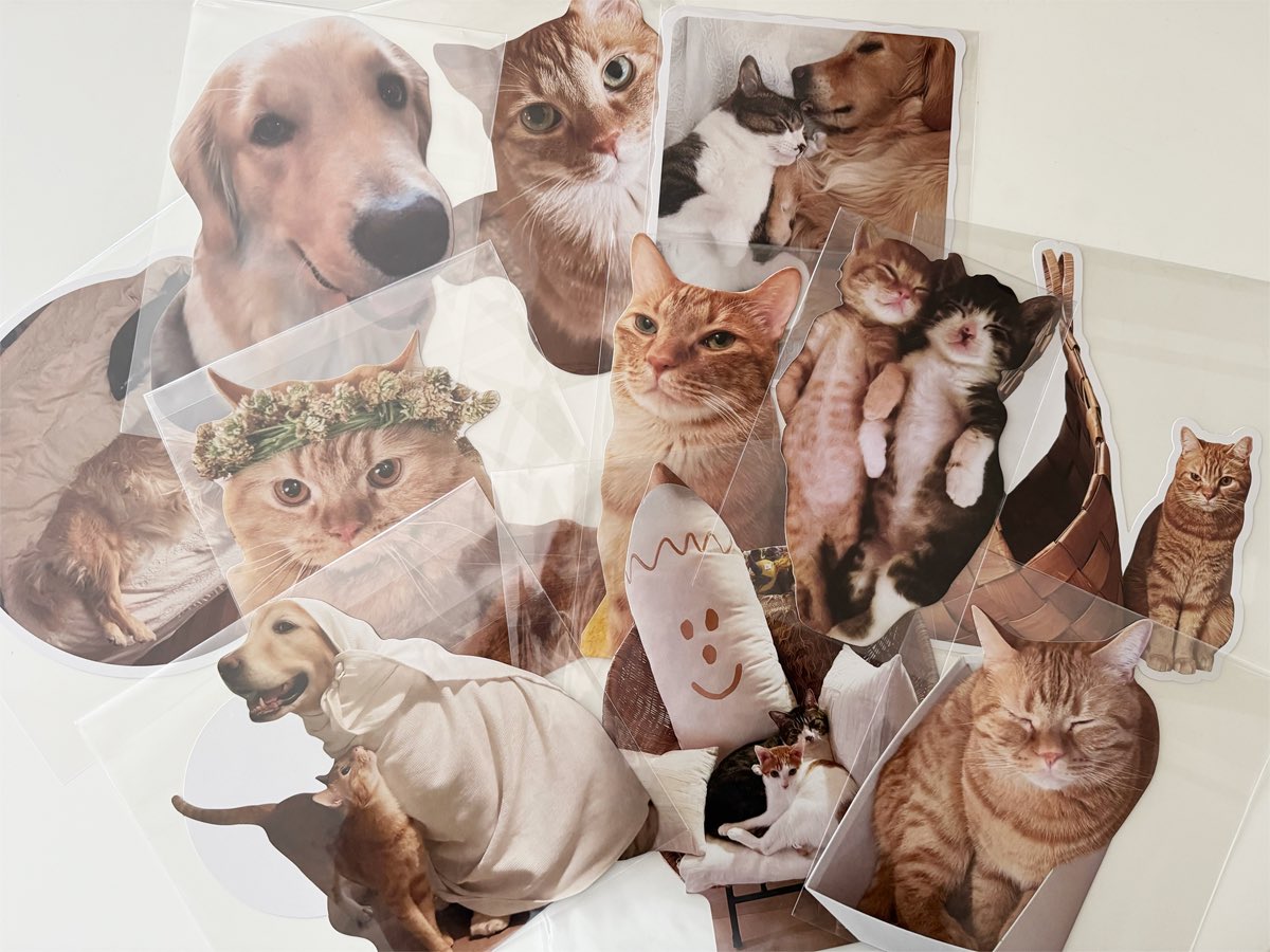 ほぼ日ストアで注文していた、石田ゆり子さんのポストカードが届いた。サイズがデカイ！可愛い！
なんだか最近、急に可愛い物の情報が集まりだして、散財祭りになりそう😂