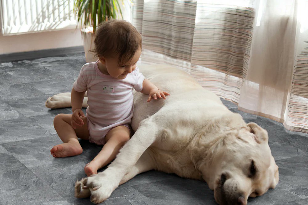 Renter-Friendly Hacks: Best Removable Floor Tiles for Apartments🌈🏡
✨They are fashionable, simple to use, and don't call for a single drop of glue or a nail.
See details>>👉 tinyurl.com/238t8vwg
#tileadhesive #walldecor #peelandsticktiles #homedesign #tiles #kitchendecor