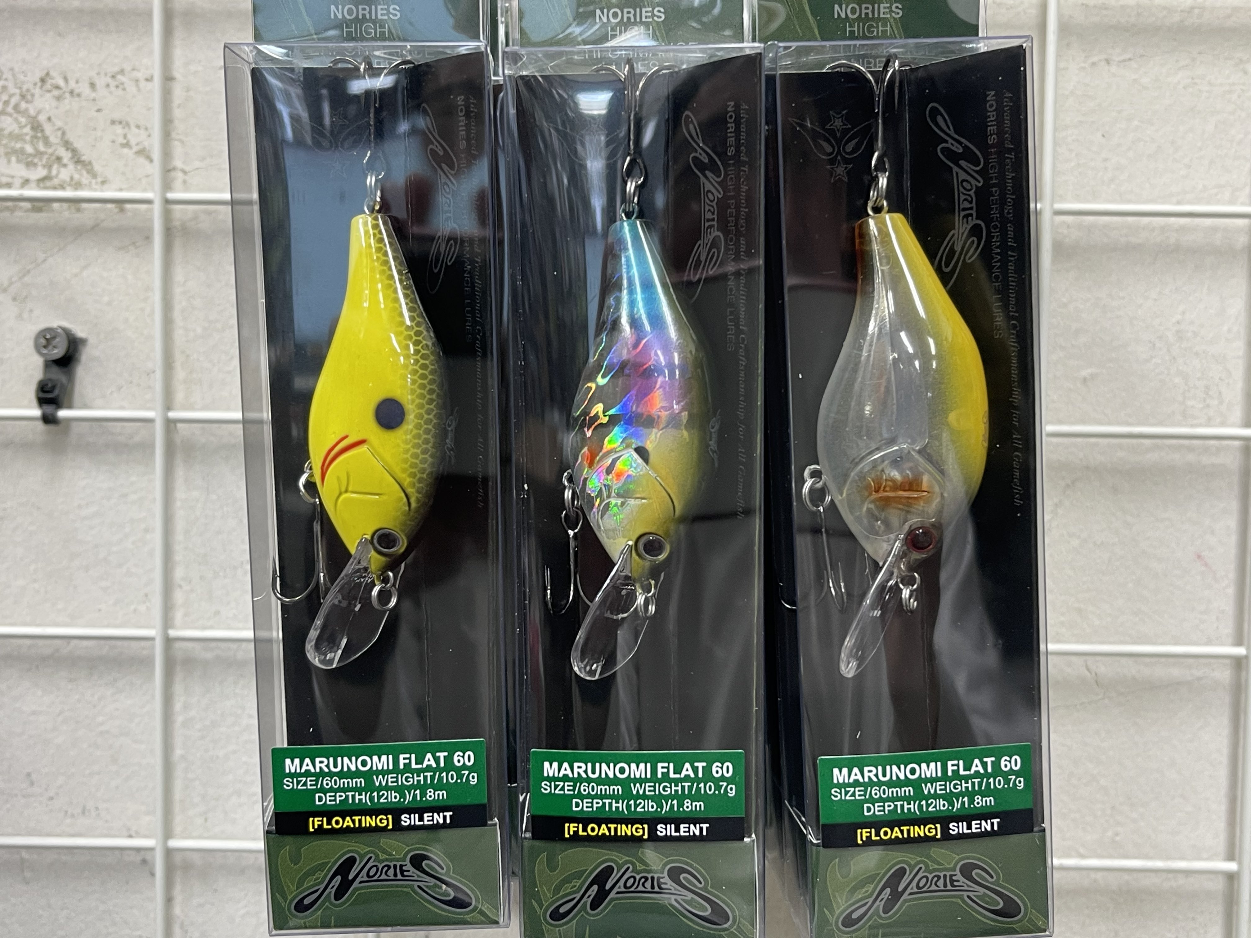 グラベルワギーとマルノミフラット グラベルワギーとマルノミフラット グラベルワギーとマルノミフラット