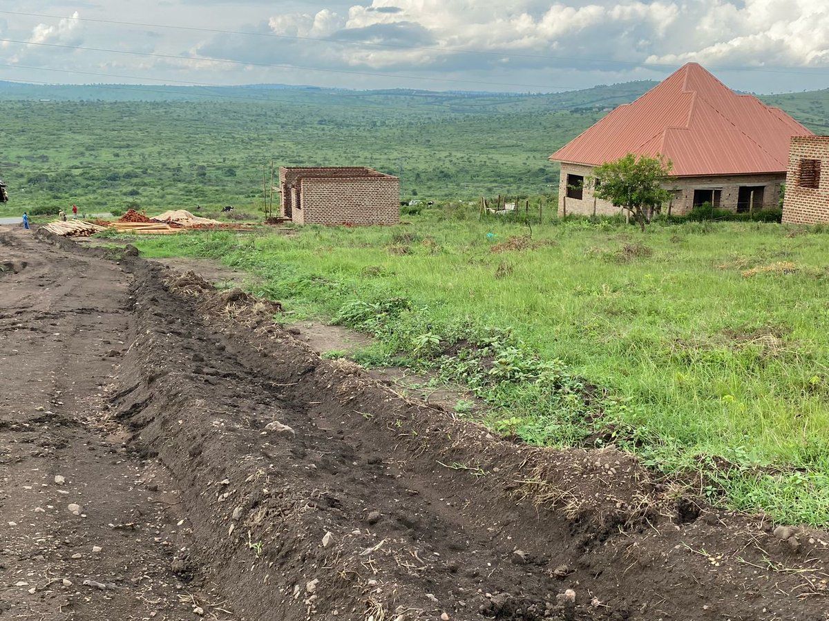 A TREESTORY🌲🌲🌍(COMMUNITY AT UNITY)🇧🇪🇧🇪🇧🇪 tweet media