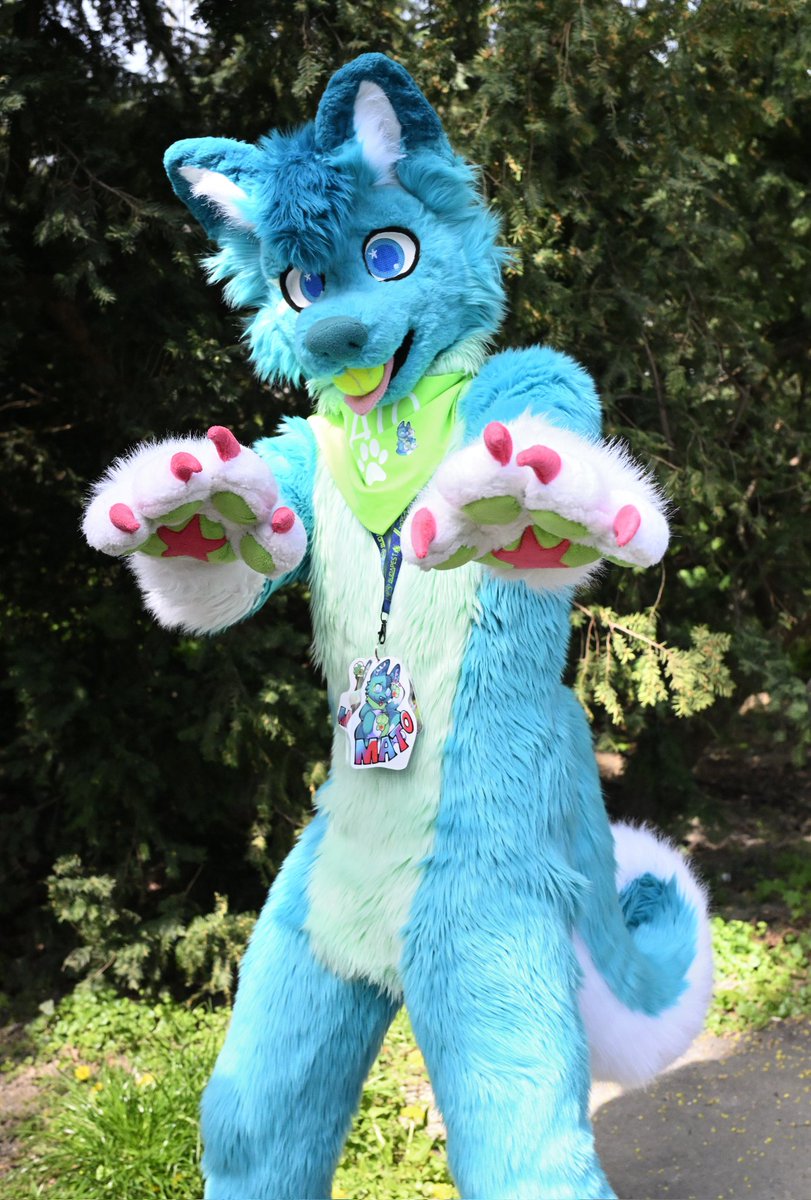 mato_husky (@mato_husky) on Twitter photo ๐๐ Wait wait wait, today is the day for a sunny trip ๐โ๏ธ ๐๐
๐ท <a href="/littlepawsnep/">Snepรญk Littlepaw โก๏ธ ฤesfur</a> ๐ฅฐ
๐งต <a href="/Bambilijas/">Bambilijas</a> + <a href="/RokajTheHusky/">Rokaj</a> ๐ฅฐ
#happyfursuitfriday
#fursuitfriday
#furry #furrsuit #fursuiter #furryfandom #furries #furryhusky ๐๐ Wait wait wait, today is the day for a sunny trip ๐โ๏ธ ๐๐
๐ท <a href="/littlepawsnep/">Snepรญk Littlepaw โก๏ธ ฤesfur</a> ๐ฅฐ
๐งต <a href="/Bambilijas/">Bambilijas</a> + <a href="/RokajTheHusky/">Rokaj</a> ๐ฅฐ
#happyfursuitfriday
#fursuitfriday
#furry #furrsuit #fursuiter #furryfandom #furries #furryhusky