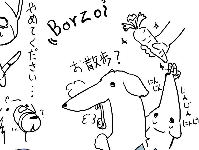 Borzoi 