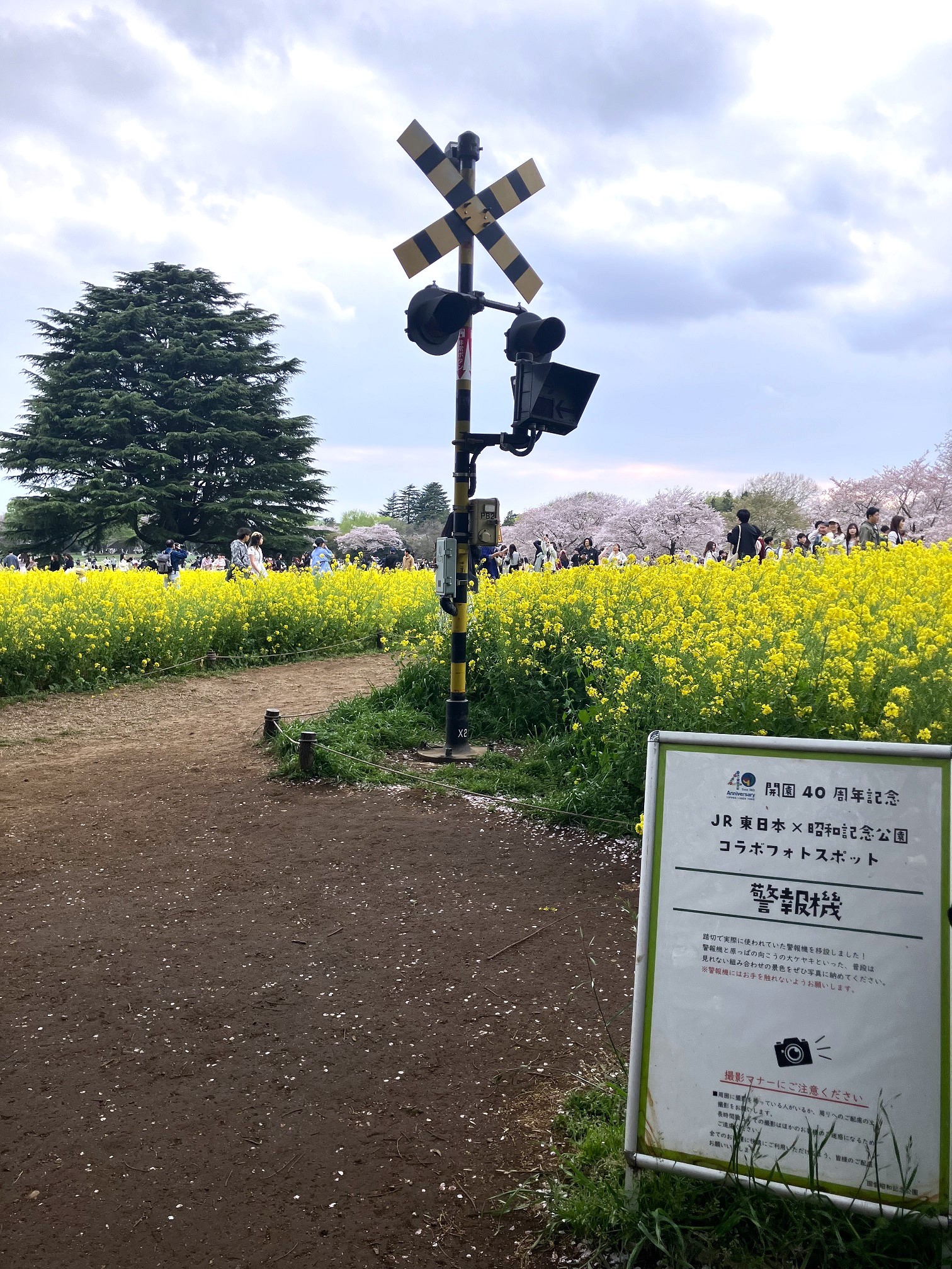 鉄道★ワンマン(出口)★昭和レトロ 鉄道コレクション 和歌山電鐵 2270系 おかでんチャギントン