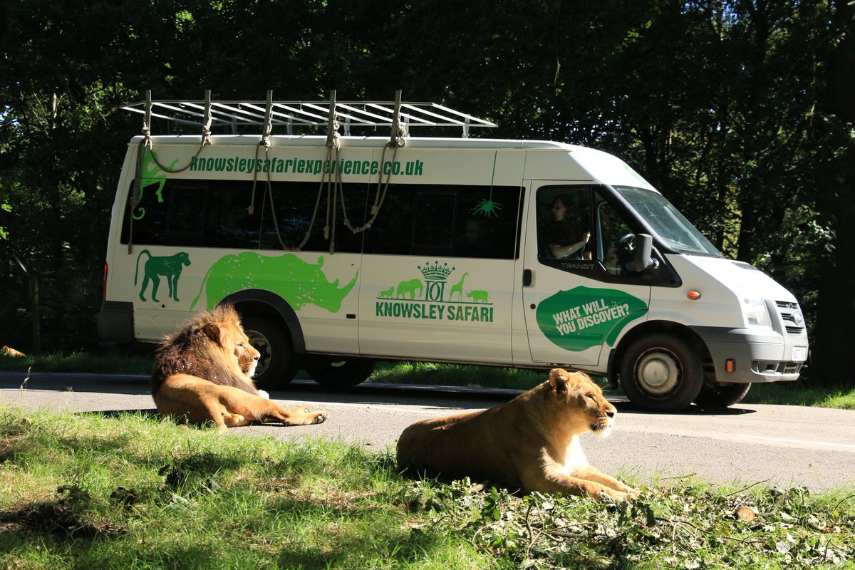 Bernard Donoghue tweet media