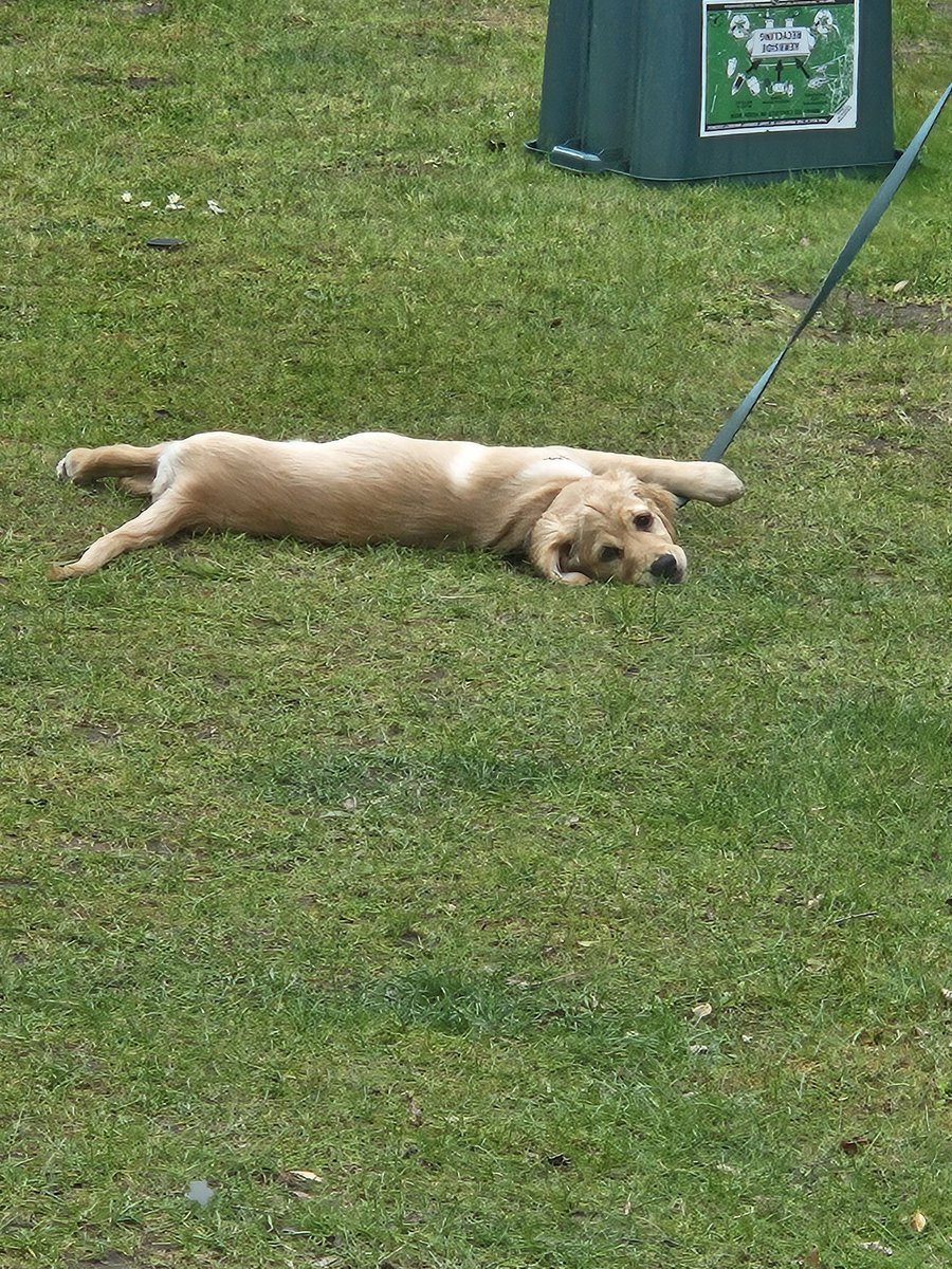 She's either the cuddliest little baby on the planet, or an absolute drama queen, there's no in between 😅