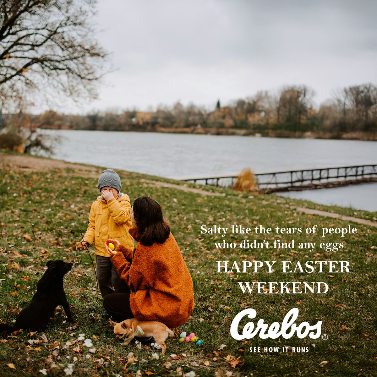 Cerebos_SA's tweet image. From ours to yours...
Wishing you all a blessed Easter weekend.

P.S - We also didn&apos;t find any Easter eggs.

#Cerebos #Cerebossalt #SeeHowItRuns #Morethanjustsalt #EasterWeekend #Easter2025