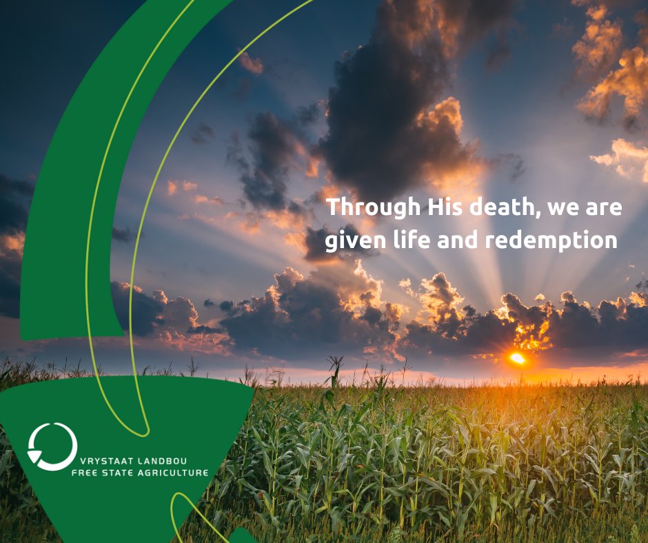 On this Good Friday, we remember the ultimate sacrifice made by our Saviour, Jesus Christ. Through His death, we are given life and redemption. Let us reflect on His love and grace as we give thanks for His blessings in our lives.