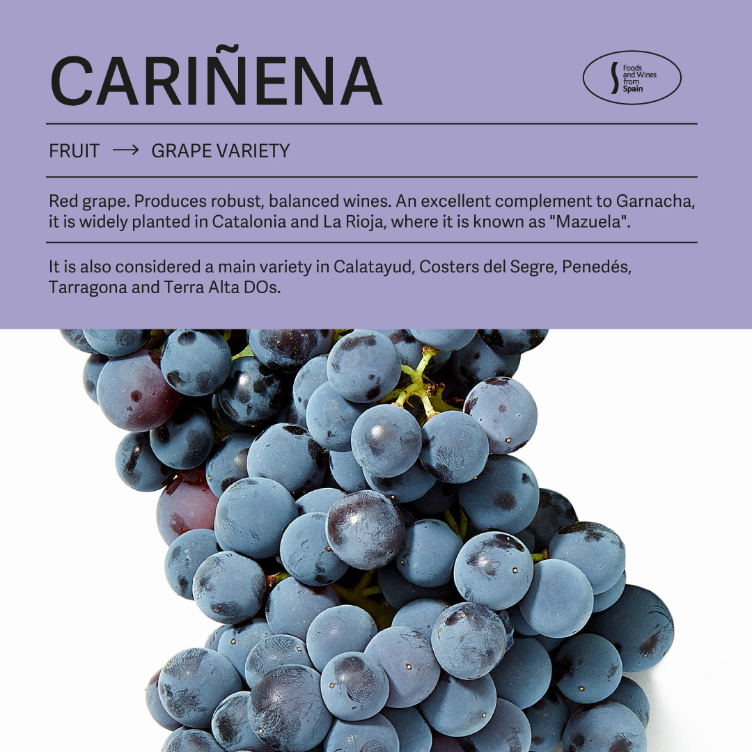 You might not have heard of this grape variety🍇 before, but it has some truly unique characteristics that make it stand out in the world of wine.

#cariñena #wine #spain