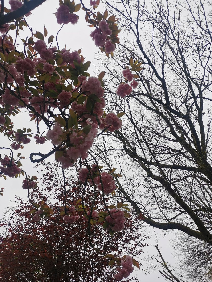 Sekerati_MEVT's tweet photo. Car chaque vie vaut...
Quelles que soient nos étiquettes socio-économiques, d'origine, idéologiques et toute autre...
C'est la vie qui est sacrée au-delà de toute idole !
#NatureBeauty
#NaturePhotography
#AmazingTrees https://t.co/i7jF3C8MPj