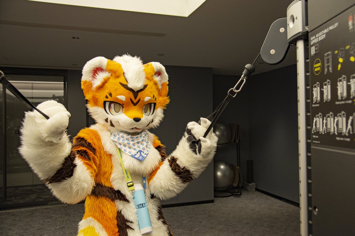 baicai_coin's tweet image. 图一：努力锻炼！
图二：摆了w
#FursuitFriday
毛替：@FoxKohaku